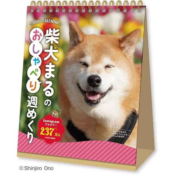 柴犬まる×ポムポムプリンのハッピー日めくり ([実用品]) | 小野 慎二郎